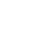 Nutribullet