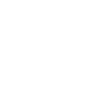 Pioneer