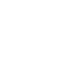 Roborock